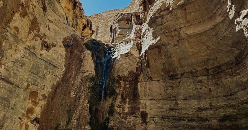 Mùa Chay và Việc Học với Dự Tòng (Bài học của nghi thức Khảo Hạch và Trừ Tà)