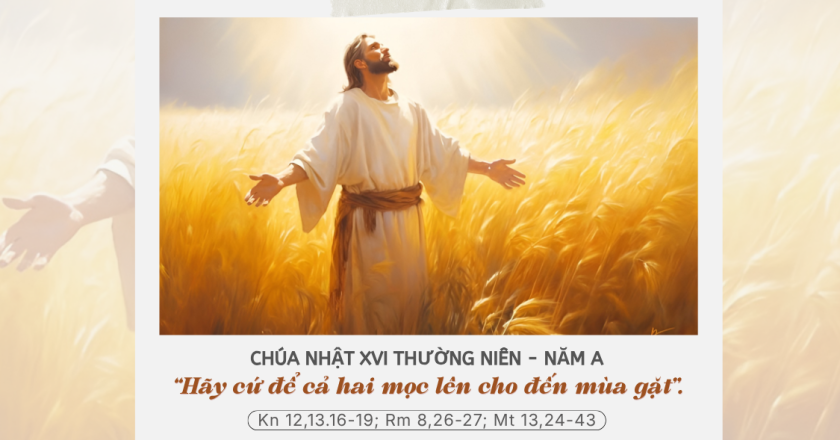 Suy niệm Lời Chúa Chúa Nhật XVI Thường Niên – Năm A