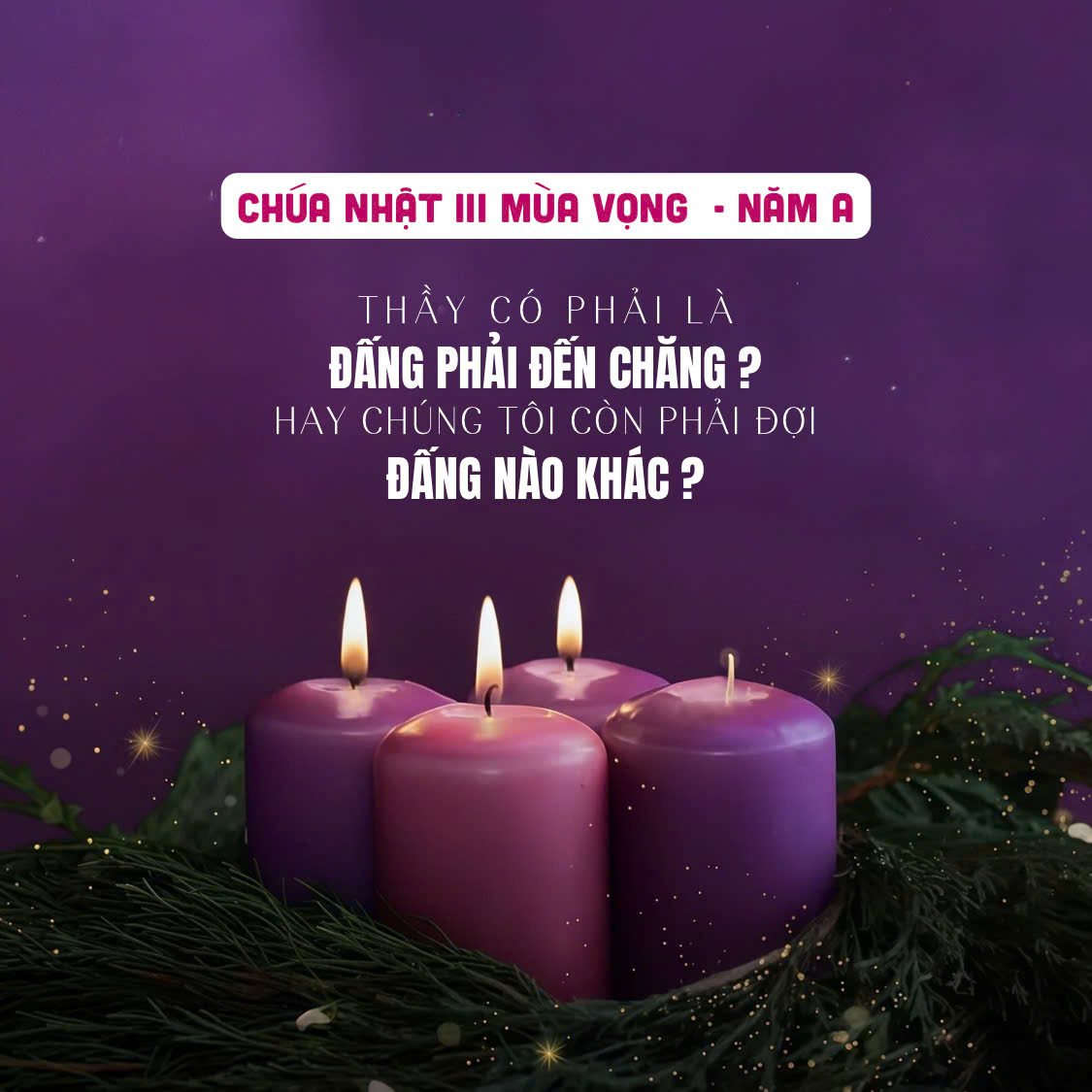 Đấng Phải Đến Đang Ở Giữa Anh Em – Chúa Nhật III Mùa Vọng – Năm A