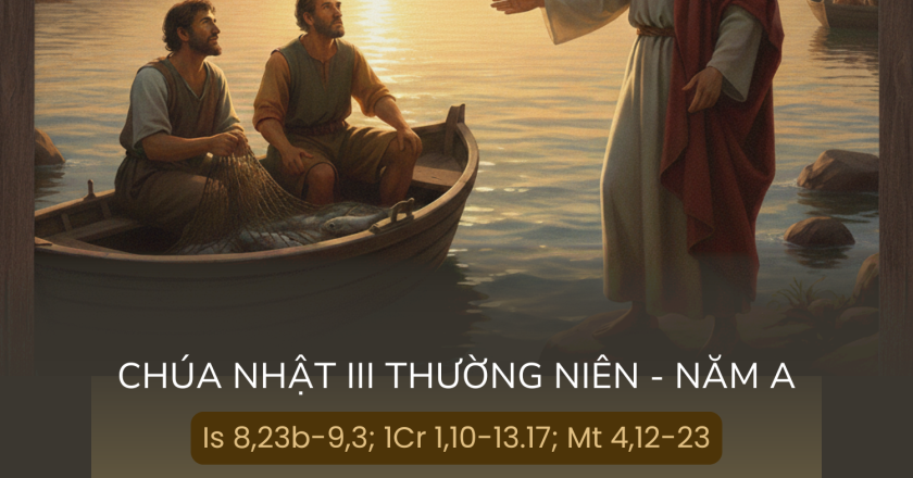 Sám Hối: Để Được Cứu Độ