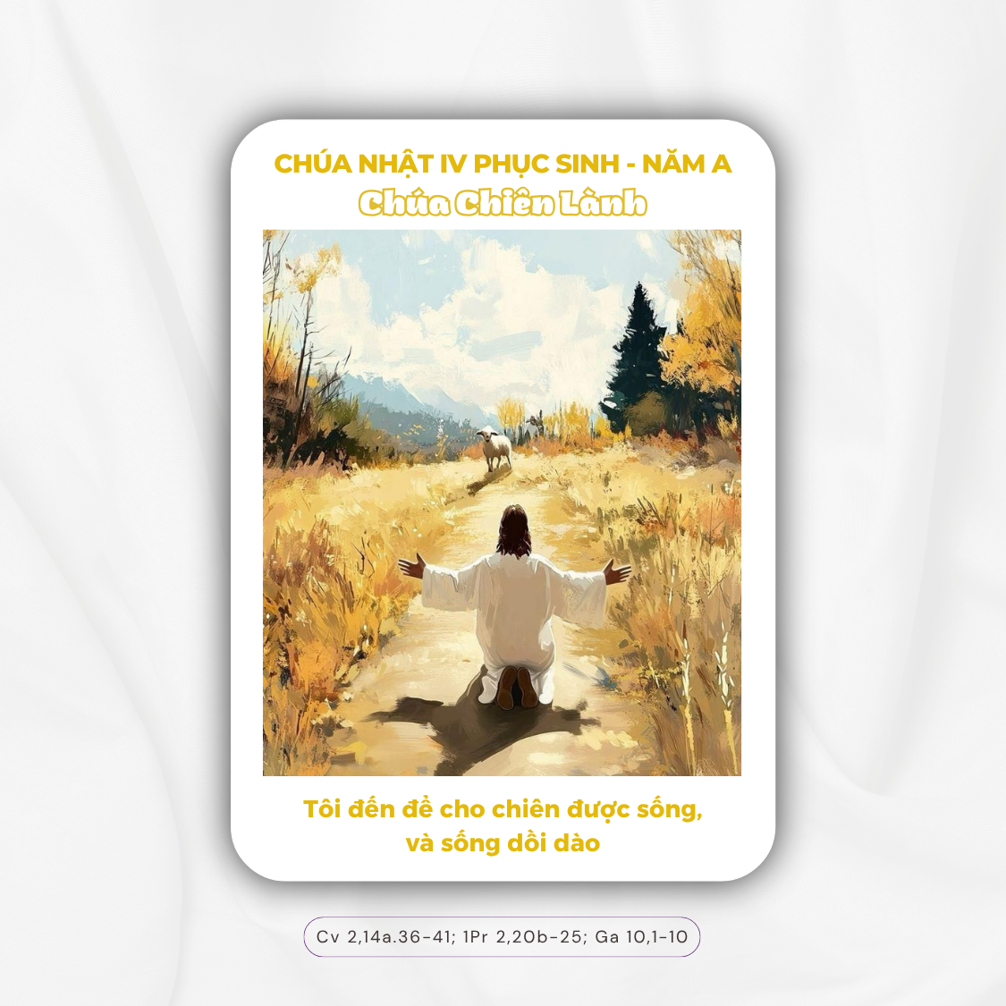 Suy Niệm Chúa Nhật IV Phục Sinh – Năm A – Chúa Chiên Lành