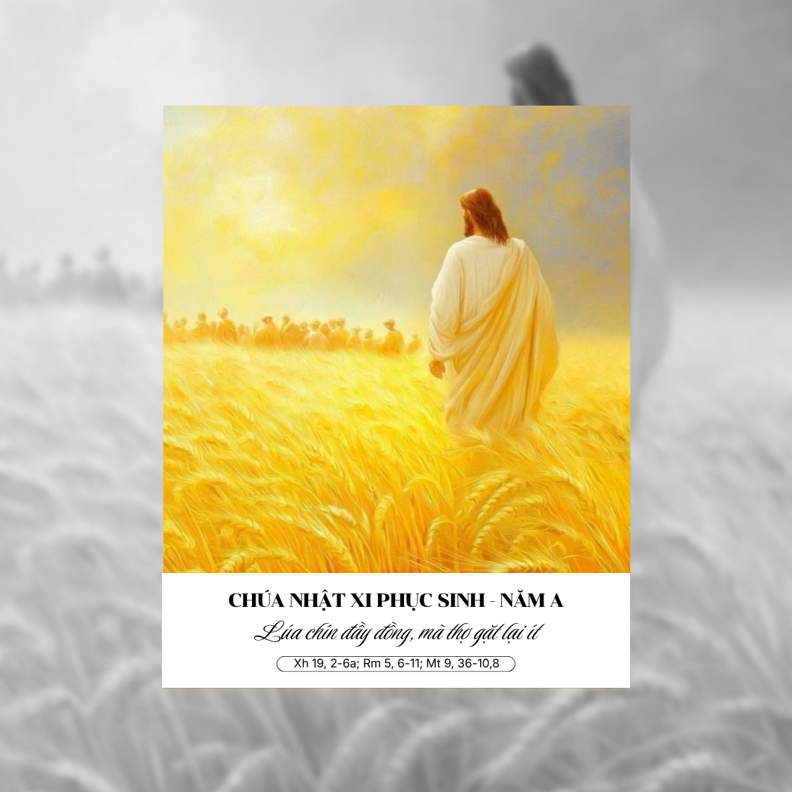 Thiên Chúa Yêu Thương, Tuyển Chọn Và Sai Đi