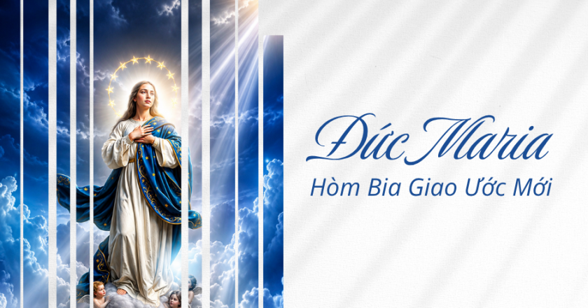 ĐỨC MARIA – HÒM BIA GIAO ƯỚC MỚI